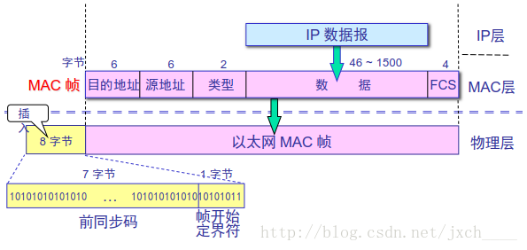 MAC 帧格式