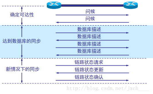 OSPF 的基本操作