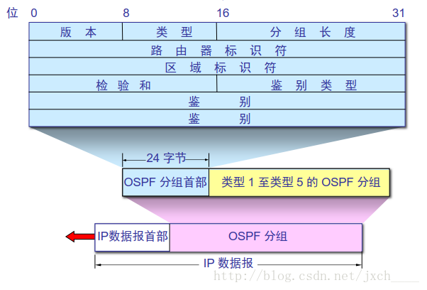 OSPF 数据报格式