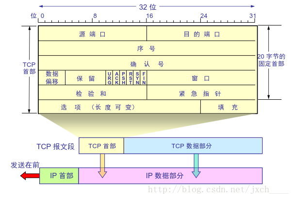 TCP 格式